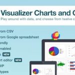 Visualizer Charts and Graphs