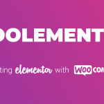 CoDesigner Pro (Woolementor Pro)