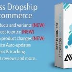 AliExpress Dropshipping Business for WooCommerce