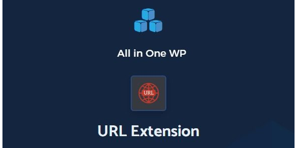 All In One WP Migration URL Extension