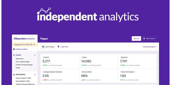 Independent Analytics Pro