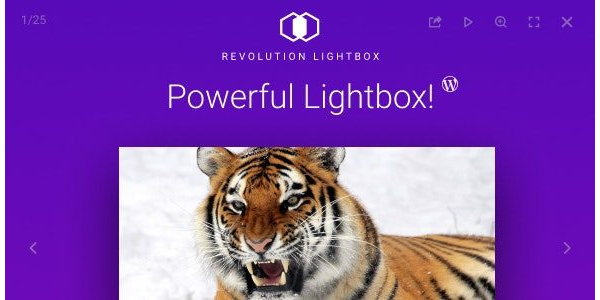 Revolution Lightbox