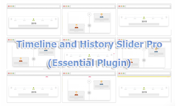 Timeline and History Slider Pro (Essential Plugin)